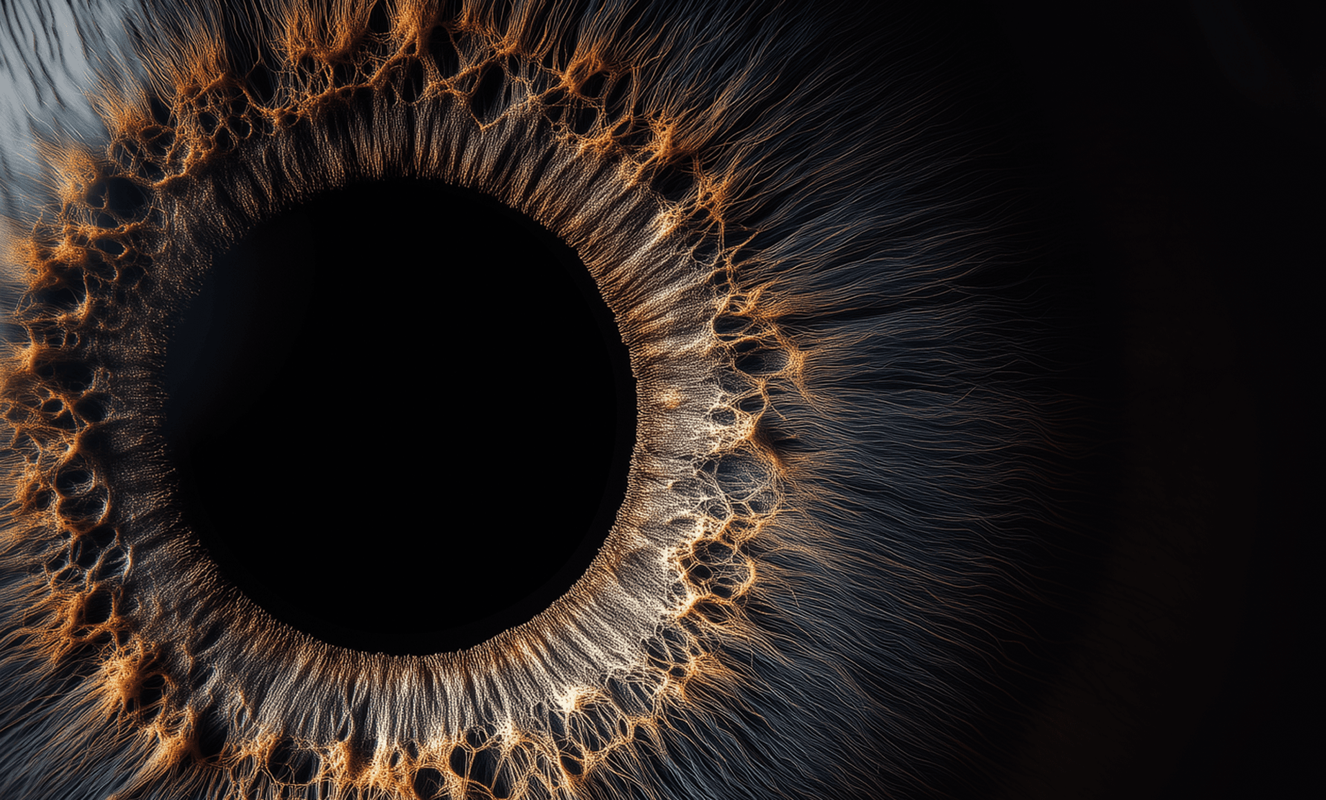 Translink Hero — close-up eye representing attention
