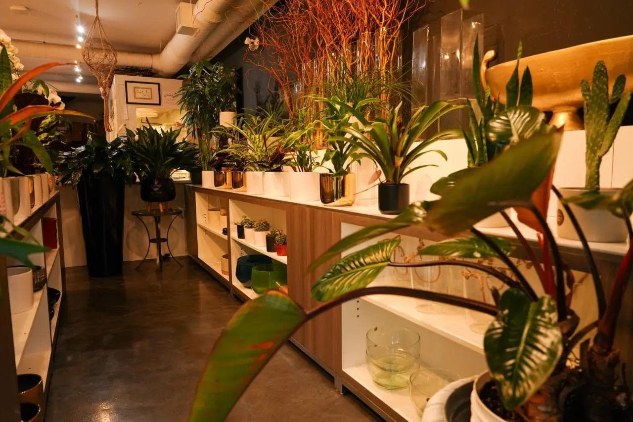 Inside Golzare Tala