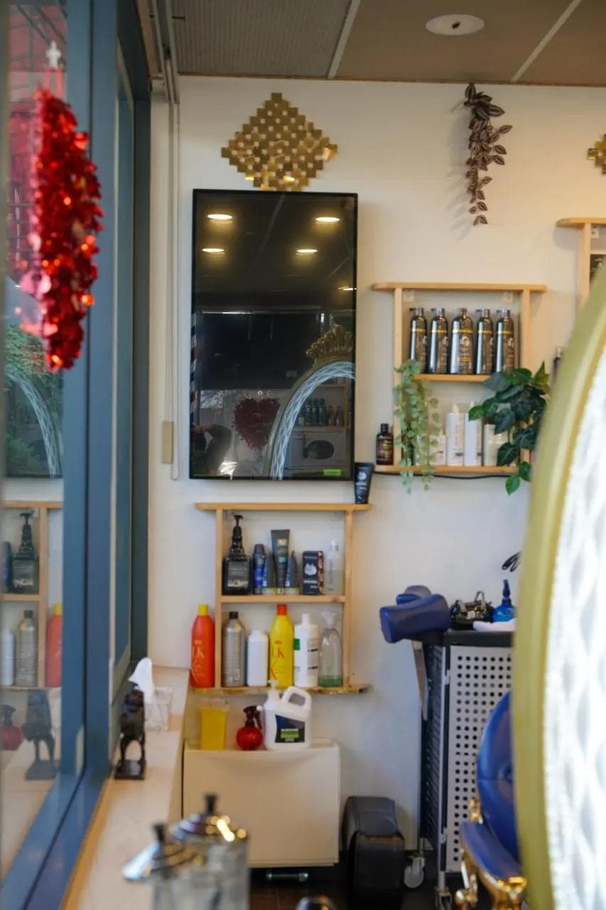 Hair Design & Styling